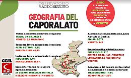 La Cgil di Treviso guida la svolta per un’agricoltura più giusta