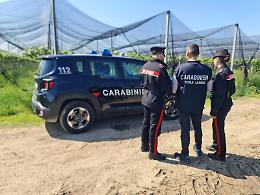 Lavoro nero e sicurezza violata: maxi operazione dei Carabinieri in provincia di Treviso