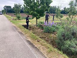Ritrovato coltello sospetto: potrebbe essere l'arma del delitto di Castelfranco Veneto