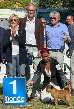 Albarella: “King’s Jester” trionfa al Best in Show all' Esposizione Nazionale Cinofila