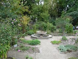 Scoprire l’Orto Botanico di Padova: visita guidata tra storia, biodiversità e natura
