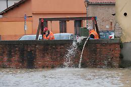 Vicenza. Le cause e le possibili soluzioni per combattere l'emergenza