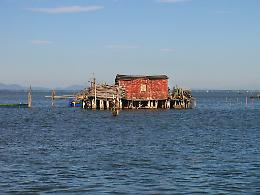 Venezia, marinaia di 17 anni impigliata nell'elica del catamarano: perde la vita al suo primo imbarco