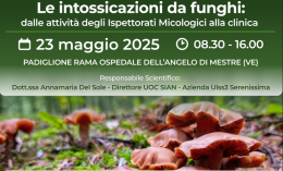 Intossicazioni da funghi: un convegno su trattamenti e prevenzione