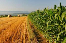 Tecnologia e agricoltura: la nuova sfida contro il clima che cambia
