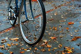 Trafficava bici di lusso rubate tra Padova e l’Austria: arrestato trasportatore serbo nel vicentino