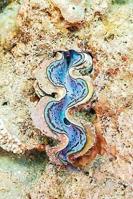 A Mestre nasce un percorso espositivo permanente sulle antiche vie d’acqua