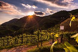 La Primavera del Conegliano Valdobbiadene Prosecco DOCG: ecco gli ultimi appuntamenti 