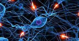Parkinson: dall'UniPD una nuova nanotecnologia che rivoluzionerà le terapie