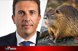 Piano contro le nutrie in Veneto, Corazzari: "Un progetto per tutelare il territorio"