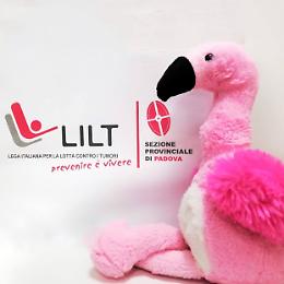 Lilt Padova, 50 anni per la prevenzione: un futuro da costruire insieme