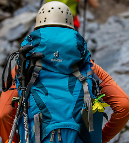 Nel cuore della Lessinia fiorisce la meraviglia: trekking alla scoperta della “Scarpetta di Venere”