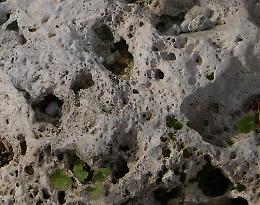  Come dire addio al calcare con rimedi naturali