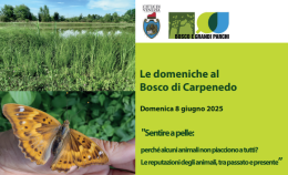 Carpenedo: una domenica tra gli alberi per riscoprire la natura