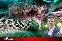 Al via la seconda e ultima campagna di pulizia dei fondali marini alle Tegnùe di Chioggia