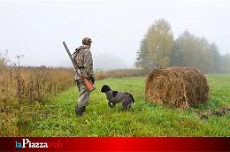 Approvato il nuovo calendario venatorio per la stagione 2025/2026 in Veneto