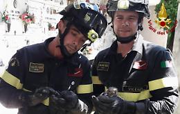 Salvati due gattini intrappolati al Cimitero Maggiore di Vicenza