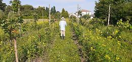 Padova lancia un patto per il futuro della terra: firmato l'accordo per rigenerare i suoli agricoli urbani