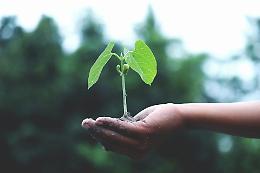Veneto sempre più green: le iniziative sostenibili che stanno trasformando la regione