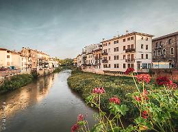 Vicenza, i gerani tornano a colorare Ponte degli Angeli