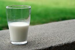 Il Veneto si conferma terza potenza nazionale nella produzione di latte: Vicenza tra le prime dieci in Italia