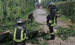 Temporali in arrivo su Bellunese e Alto Trevigiano, scatta l'allerta gialla