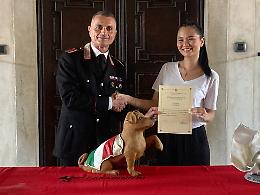 Arte e legalità: il Liceo Artistico di Treviso dona opere ai Carabinieri