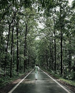 Il silenzio del bosco prende vita: escursione serale sensoriale in Lessinia