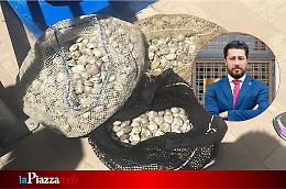 Duro colpo al mercato nero ittico: sequestrati 100 chili di vongole da un laboratorio abusivo scoperto a Pellestrina