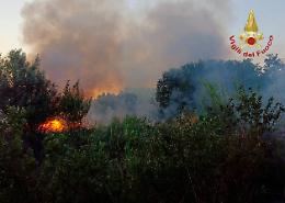 Chioggia, incendio di sterpaglie lungo il Brenta: intervento dei Vigili del fuoco fino a tarda sera