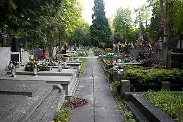 Sicurezza a Cavarzere: Raid vandalico al cimitero