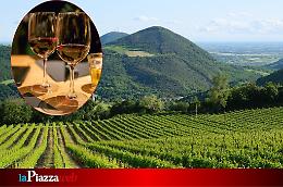 Il Serprino Festival accende l’estate: vino, cultura e paesaggi unici nei Colli Euganei