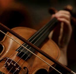 Fascino barocco e modernità sonora: a Treviso il Florence Acco Quartet incanta con la fisarmonica
