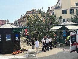 Nuove scoperte sul leccio crollato a Piazzale Roma: il Comune aveva ordinato l’abbattimento, ma nessuno è intervenuto