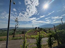 Boom di presenze nelle Colline del Prosecco: il turismo cresce tra gusto, paesaggi e accoglienza