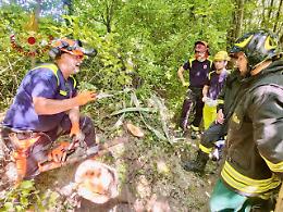 Camposampierese: un corso speciale sull'uso delle motoseghe per i volontari dei Vigili del Fuoco