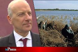 Veneto, riforma nella caccia: più trasparenza e più controlli 