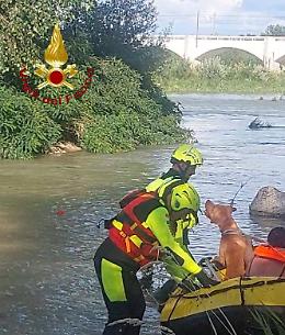 Nervesa della Battaglia: cane salvato dai Vigili del Fuoco su un isolotto del Piave
