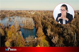 Un polo logistico minaccia l’oasi Lycaena e la viabilità tra Salzano e Martellago