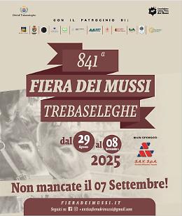 Trebaseleghe e la sua Fiera dei Mussi: 841 anni di tradizione che si rinnova