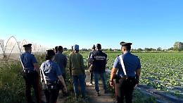 Caporalato e sicurezza sul lavoro: maxi blitz nelle aziende agricole e nei caseifici del Padovano
