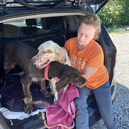 La fine di un incubo: liberati grazie a LAV due cani seviziati per anni in un'azienda di Pescantina