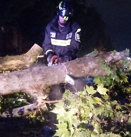 Maltempo nel Trevigiano, 65 interventi dei Vigili del Fuoco: alberi abbattuti e tetti danneggiati