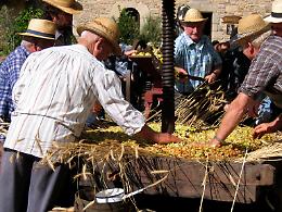 Delizie d’Autunno, il secondo weekend si accende a Covolo con il Fagiolo Borlotto Nano Levada