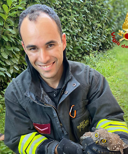 Piccola civetta intrappolata nel camino: salvata dai Vigili del Fuoco a Padova