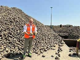 Pontelongo: l'accordo UE‑Mercosur mette in ginocchio la filiera italiana dello zucchero