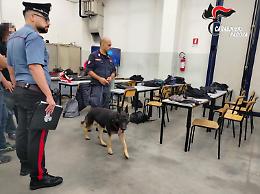 Controllo straordinario antidroga all'Enaip di Cittadella: 250 studenti ispezionati