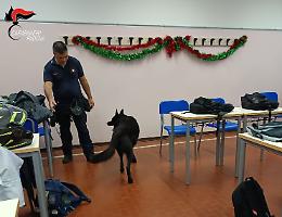 Controllo straordinario antidroga a Cittadella: 230 studenti ispezionati