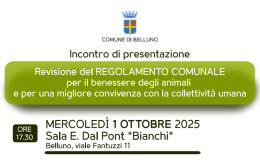 Nuovo regolamento comunale per il benessere degli animali: a Belluno si punta a una convivenza più ragionata tra uomo e natura