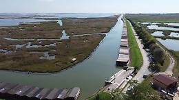 Parco delle Giare a Mira, 10 ettari di biodiversità a difesa della laguna e del territorio 
